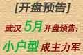 武汉5月开盘预告