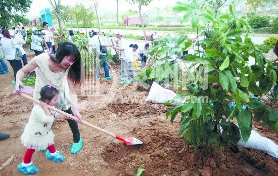 舞台上,来自宝珊大地幼儿园的小朋友们摇身变成“环保小卫士&图片