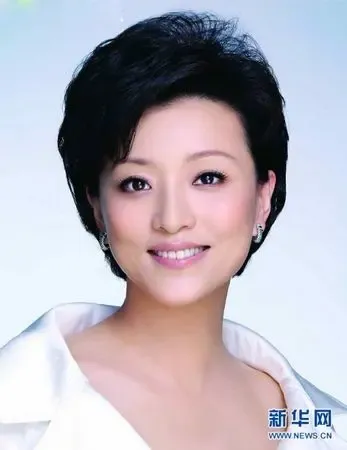央视主持人李平图片