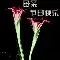 祝福赢花束 祝福赢花束