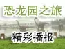 恐龙园之旅播报
