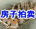 半岛阳光即将拍卖