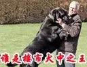 ˭��¥��Ȯ��֮����