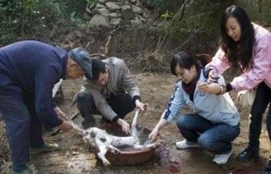 野蛮女当街杀狗,还满面笑容,是人吗你,实在看不下去了