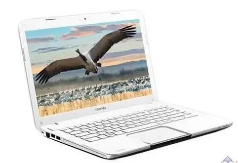 东芝L800笔记本预装Win7 一键搞定应用程序-