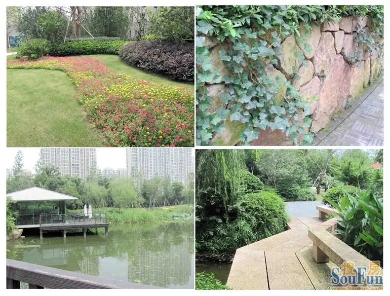 建造的信成道公园,小区内栽种了上百种植被,布置出错落有致的绿色美景