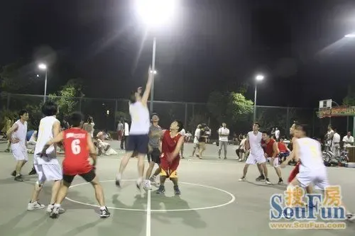 篮球比赛正式开始