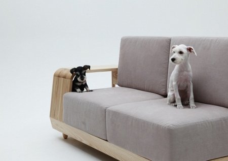 是的，猫狗也有专座了 韩国设计师的宠物沙发(图) 5