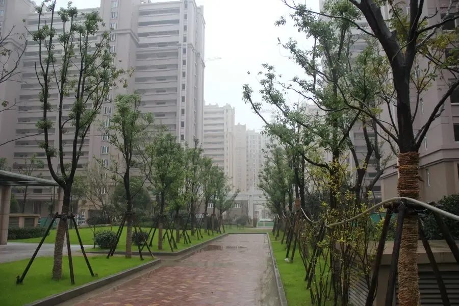 花岗幸福城99栋楼已封顶91栋