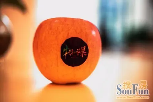 牛顿@苹果预约享60000元大礼 12月15日看房