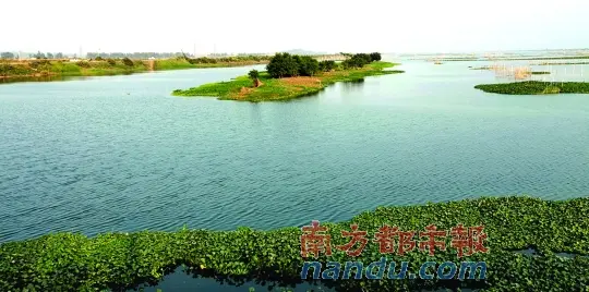 潼湖湿地