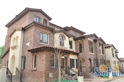 蜜蜂瓷砖设计师高磊 用瓷砖的语言诠释新古典