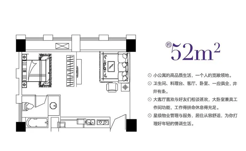 小户型蕴含大潜力 光谷核心地铁口50平米低总价小户型