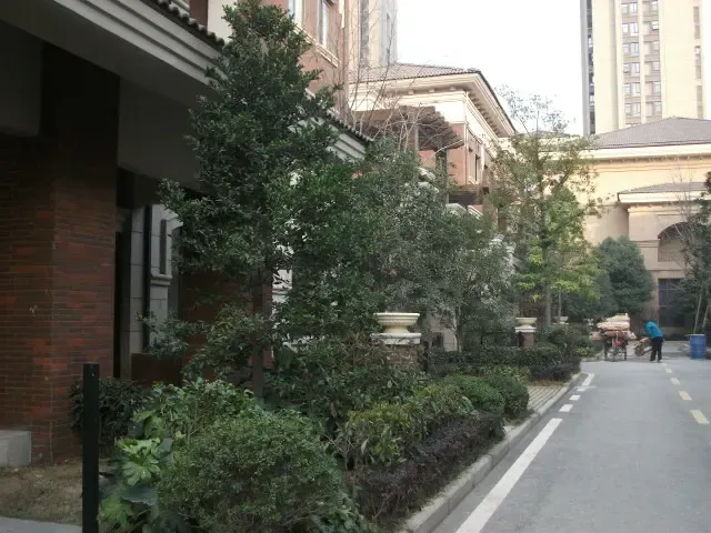 保利拉菲堂皇别墅区的绿化景观依然成熟.