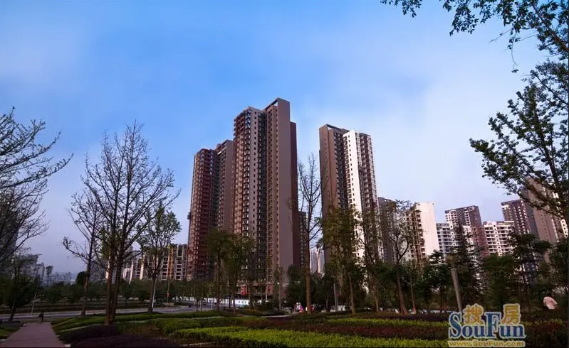 重庆最受关注楼盘 搜房网店