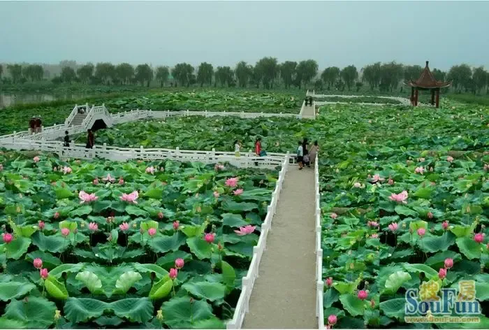 回家过年看遍家乡美 2013淮安春节旅游景点推