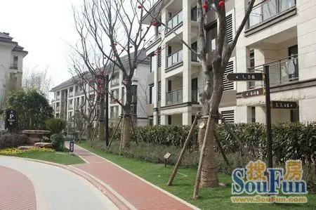 群别墅呼伤不起扬城惊现首付盘大1.6万!v别墅楼盘小院图片