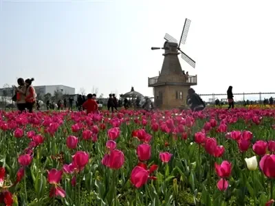 单身男女结伴同行赴瑞安