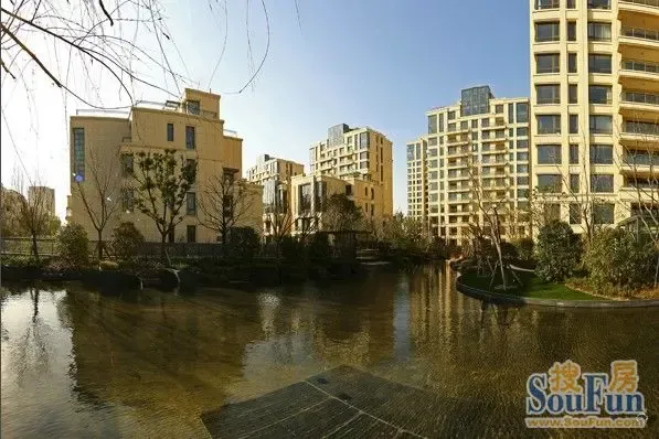 城市别墅遇上城市绿肺