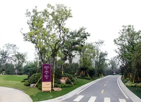 荆门碧桂园+别墅地产