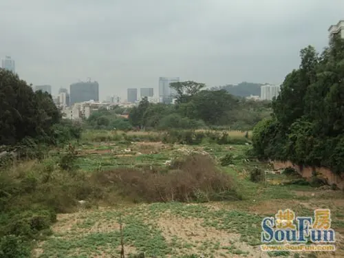 探秘后天河北闲置荒地 汉国置业东莞庄地块久废待兴