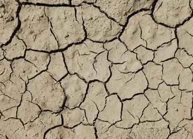 国有土地使用权取得方式之土地划拨和出让的区