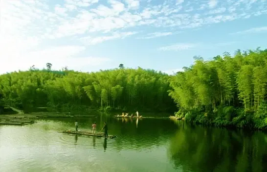 五一广东旅游广东省内旅游景点推荐:广宁竹海