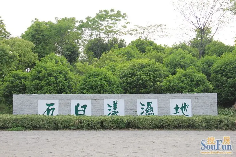 石臼漾湿地公园