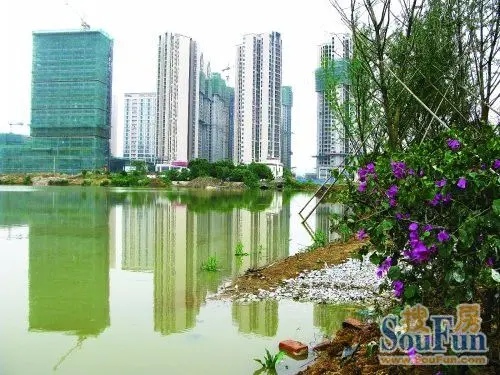 临桂新区2013规划图_临桂新区2013规划图设计