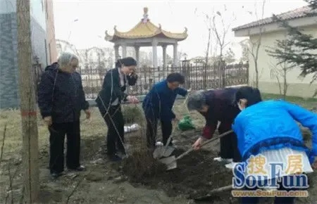 绥化碧桂园物业分公司相约春天 栽种梦想活动