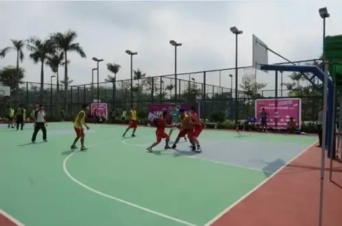 碧桂园 凤凰之巅 粤西区域男子篮球赛完满落幕