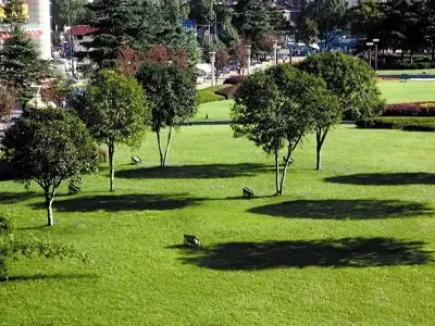 公共绿地保洁和养护的基本措施