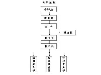 东莞房地产中介协会 协会业务范围和职责