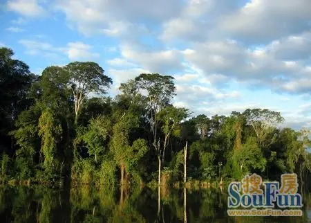 海南金手指·白鹭湖--原始森林里的养生度假天