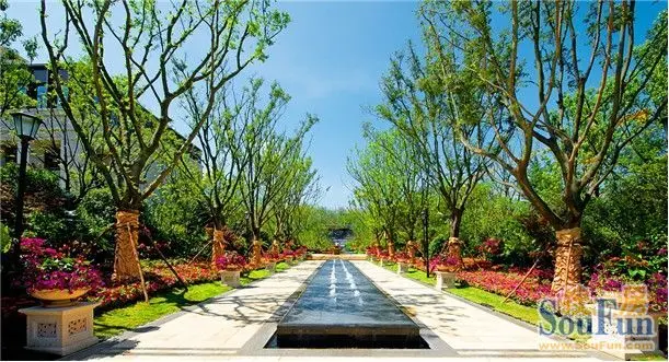 一口价168万抢龙湖别墅 开盘倒计时!