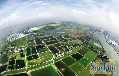 东莞水乡片区发展潜力大 土地存量高达2万亩
