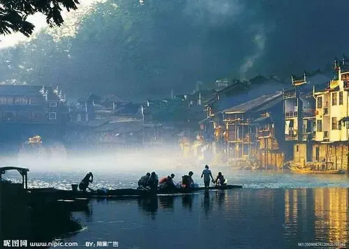凤凰求客图片