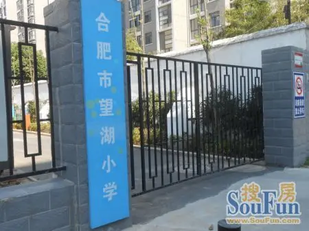 合肥市望湖