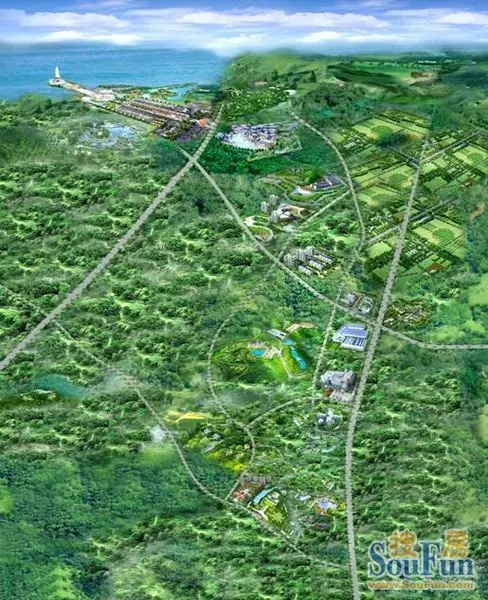 罗保铭一行赴澄迈考察