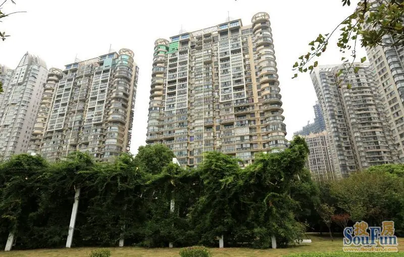 新丰丽都花园样板房开放 小洋楼vip火爆 中