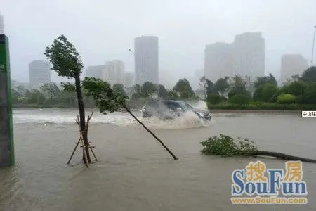 台风天兔正面袭击惠来_