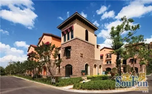 东方维罗纳 缇香墅情境式开盘 劲销超八成