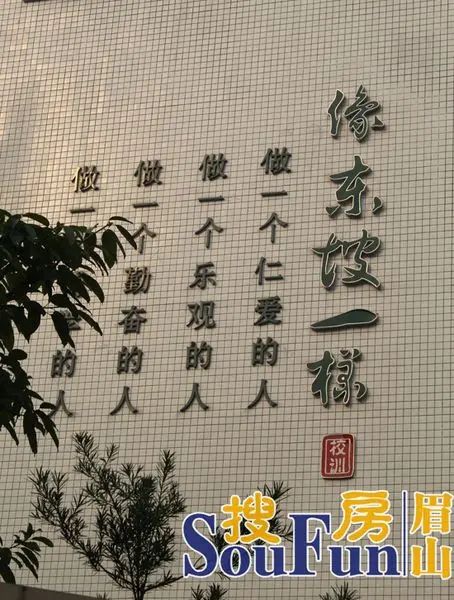 加洲国际城心系祖国下一代
