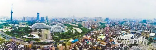 佛山禅城区电视塔和明珠体育馆一带的全景 羊城晚报记者 陈文笔 摄