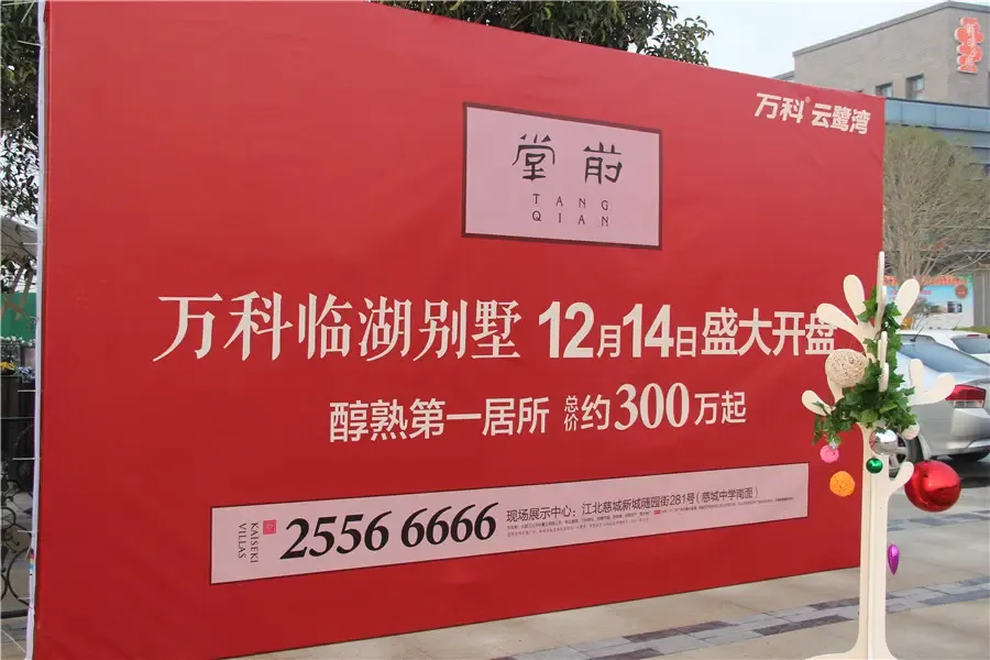 12.14万科云鹭湾堂前别墅开盘现场高清组图_搜房网