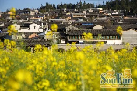 中国腾冲【原乡花海节】2月1日即将盛大启幕
