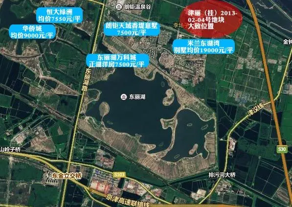 东丽湖35万平土地出让 楼面价最高2744元/平-美震美赞臣-搜房博客