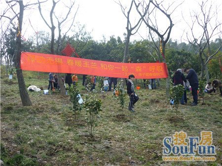 "绿动无锡 春暖玉兰 和你一起"森"呼吸"活动圆满落幕