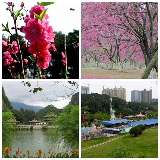 位置:青秀区民族大道民族大道120号  公园简介:南宁石门森林公园