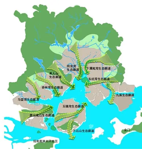 "马銮湾成为了海沧湾外延的接棒手.